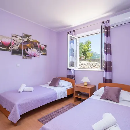 House Planika